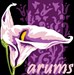 Coussin Arums