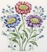Les reine marguertes 