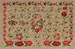 SAMPLER ROSES ROUGES