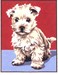 Chiot