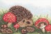 Hedgehogs