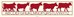 ABC VACHES ROUGES
