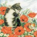 CHAT ET COQUELICOTS