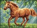 Le Galop