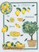 Les citrons sur toile aida