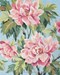 Peony
