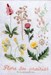 Flore des prairies