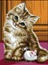 Chaton