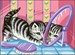 Chaton au miroir
