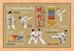 Taekwondo