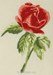 Oriental Rose - Mini
