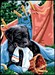 Labrador