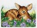 Fawn