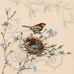 Wren And Magnolia