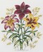 Les lys en broderie traditionnelle