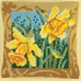 Jonquilles