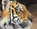 Le tigre