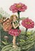 LA FEE ZINNIA