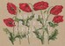 ABC coquelicots sur toile aida