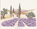 Le champ de lavande sur toile aida