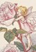 LA FEE ROSE
