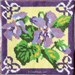Fleurs