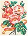 Fleurs