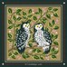 Les Chouettes
