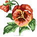 Fleurs
