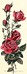 Rose rouge