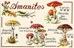 Amanites