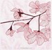 Fleurs dentelle