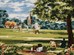 Cricket