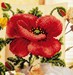 Coussin Coquelicots