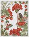 Les Fées Géranium et Fraise