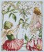 Les fées jasmin et pavot