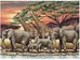 African Sunset