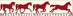 ABC CHEVAUX