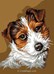 Bébés etFox Terrier