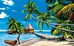 Plage des Tropiques