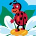 Coccinelle