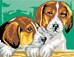 Chiots