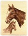 Tapis point noué Equus
