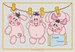 LESSIVE COCHONS