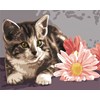 Chaton et marguerites