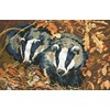 Badgers