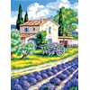Campagne méditérranéenne