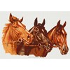 3 CHEVAUX