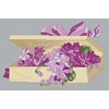 BOITE DE VIOLETTES