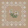 L'Edelweiss en dentelle